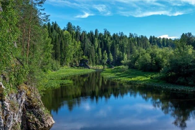 Путешествие в природный парк «Оленьи ручьи»
