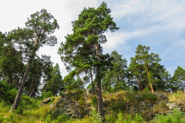 Горы в городе. Новый тур маршрут  